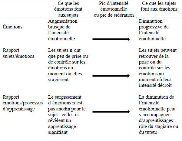 Ethnographier Les Emotions Occurrentes Un Enjeu Recherches Qualitatives Erudit