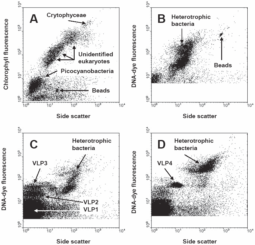 Assessing The Microbial Community Dynamics And Revue Des Sciences De Leau Érudit 4720