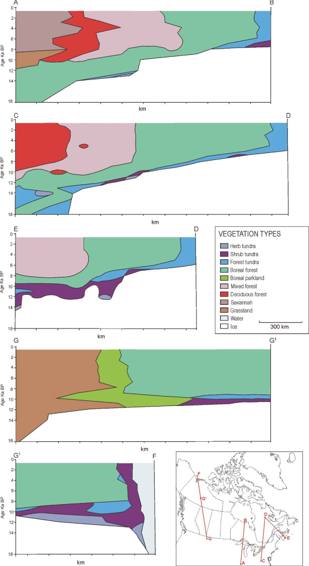 Late Quaternary Vegetation History Of Northern No