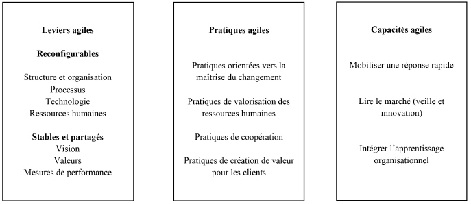 Liste des 9 meilleures échelles d'agilité, de vitesse (Comparatif 2022 et  avis)