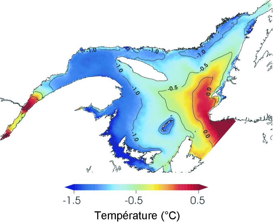 Température moyenne à la surface du golfe (oC) pour les saisons d’hiver (janvier à mars), obtenues en moyennant les solutions horaires de la solution témoin.